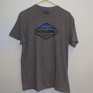 Patagonia L Slim T-Shirt